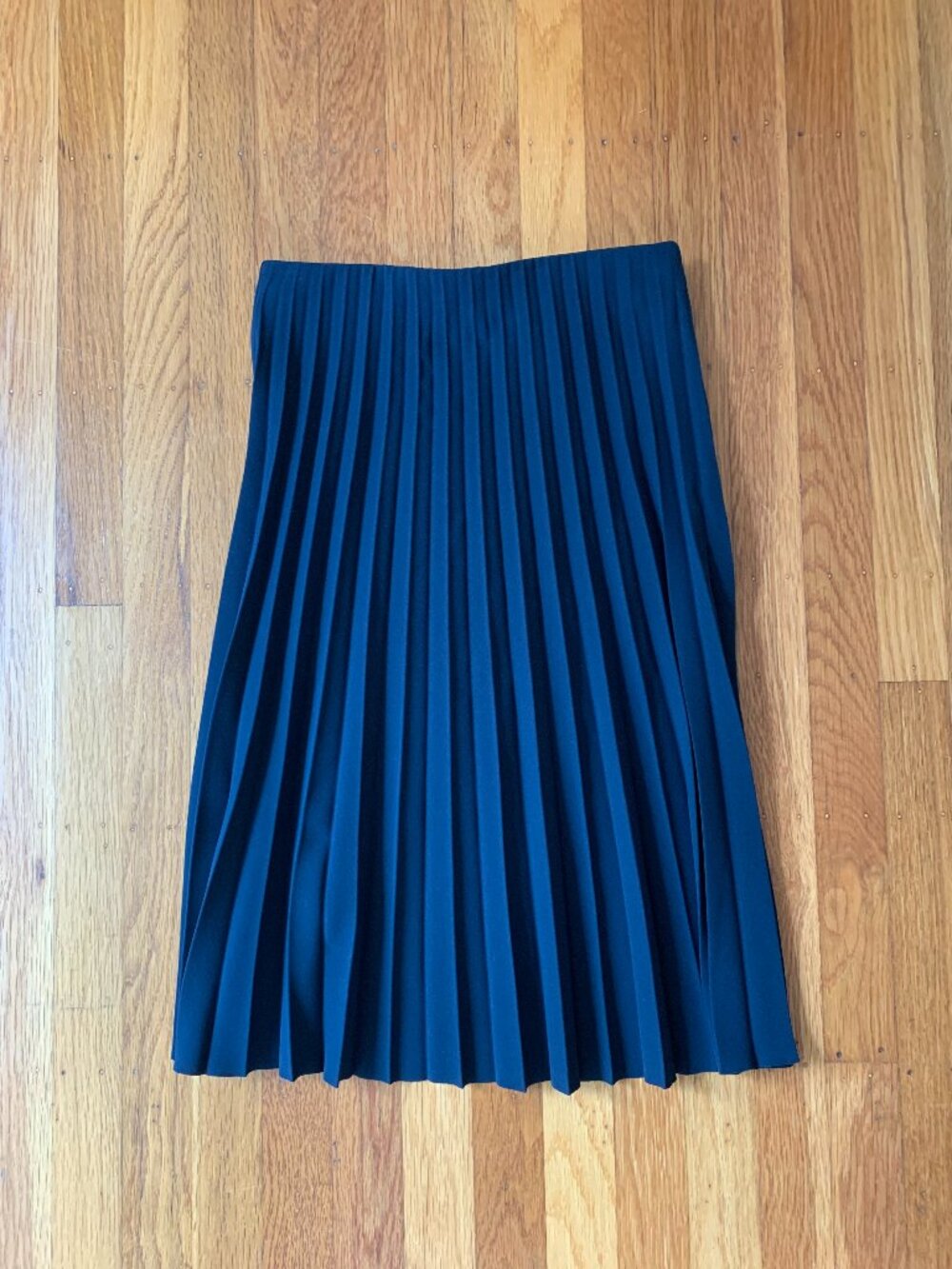 Everlane Pleated Skirt